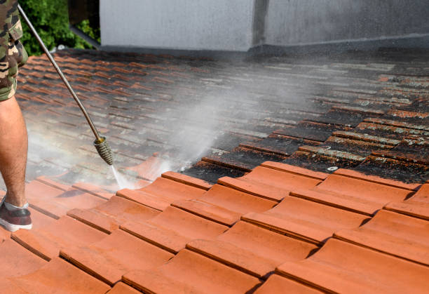 Best Pressure Washing Brick  in Jensen Beach, FL