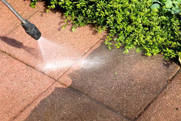 Best Commercial Building Pressure Washing  in Jensen Beach, FL